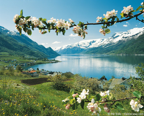 noruega-lofthus-fiordos verano flores