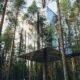 Cabaña del Treehotel integrada entre pinos en entorno forestal de Laponia Sueca