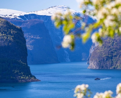 Barco navegando por un fiordo rodeado de montañas con ramas en primer plano, Noruega