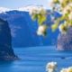 Barco navegando por un fiordo rodeado de montañas con ramas en primer plano, Noruega