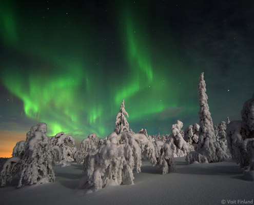 viaje a laponia auroras boreales