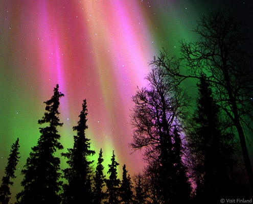 viaje a laponia auroras boreales