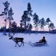 viaje a laponia finlandia trineo de renos sami