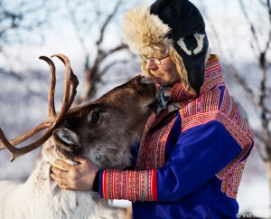 viaje a finlandia laponia sami reno