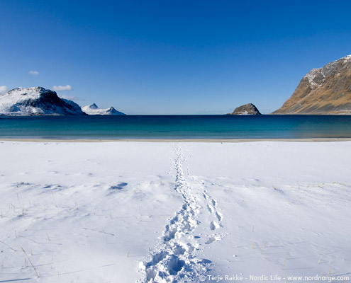 viaje islas lofoten playa con nieve