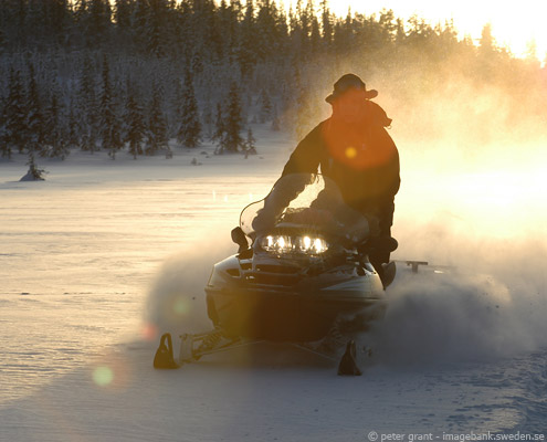 viaje a laponia suecia safari en motos de nieve