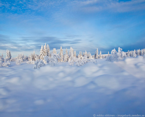 viaje a laponia suecia paisaje nevado