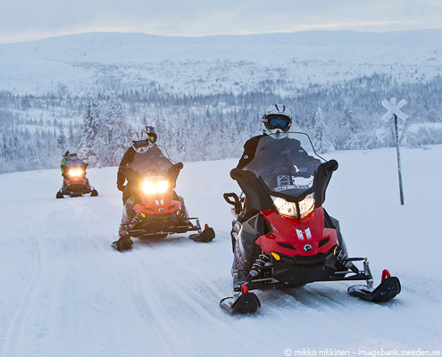 viaje a laponia suecia safari en motos de nieve