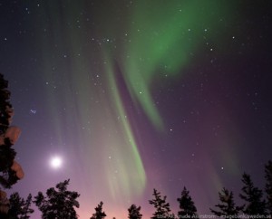 viaje a laponia suecia lavvu sami auroras boreales