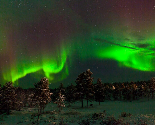 viaje a laponia kakslauttanen auroras boreales