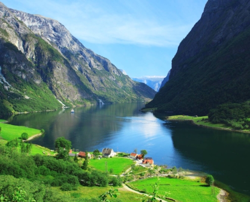 Vista del Nærøyfjord con montañas escarpadas y agua tranquila entre laderas verdes en Noruega