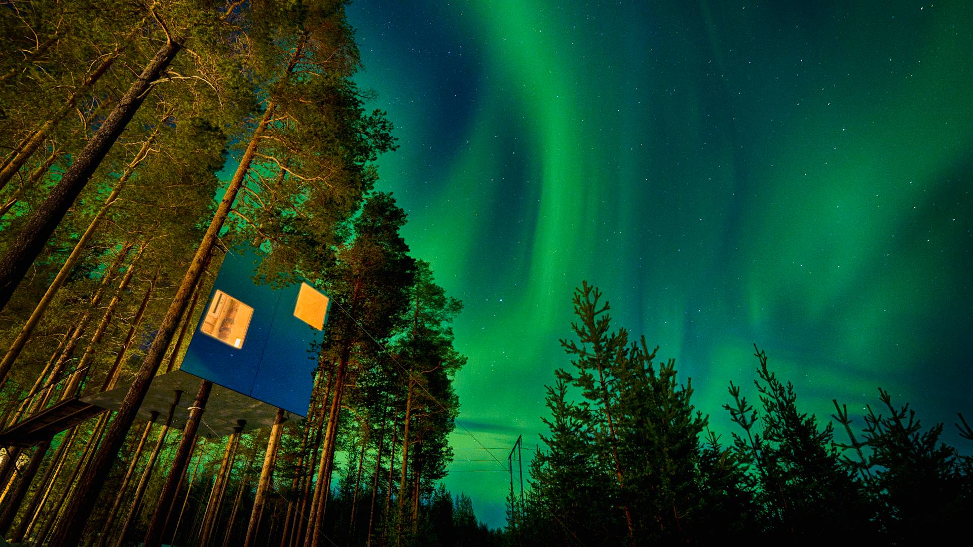 Cabaña suspendida entre árboles bajo auroras boreales en entorno forestal de Laponia Sueca