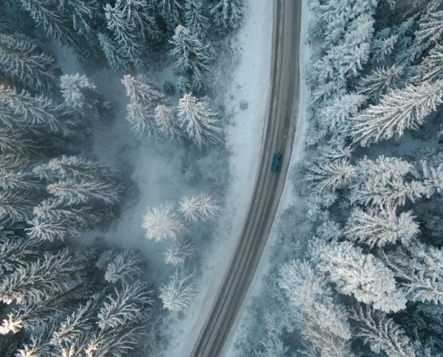 Bosque nórdico nevado visto desde el aire, imagen conceptual de los European Travel Awards