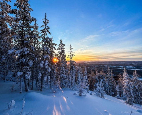 Paisaje invernal de bosque nevado en Laponia sueca al atardecer