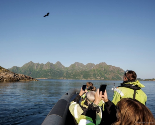 Salida en lancha por la costa del norte de Noruega para observar águilas marinas