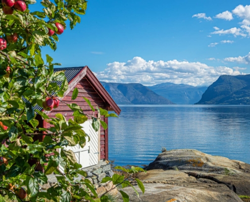 Cabaña de madera y arboles de manzano junto al fiordo con montañas al fondo y cielo despejado