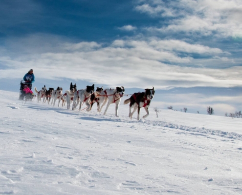 Huskies tirando de un trineo por una llanura nevada en Alta, Noruega.